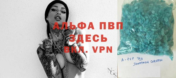 ешки Пересвет