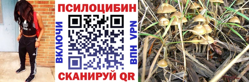 Псилоцибиновые грибы Psilocybine cubensis  Купить закладки  Пошехонье 